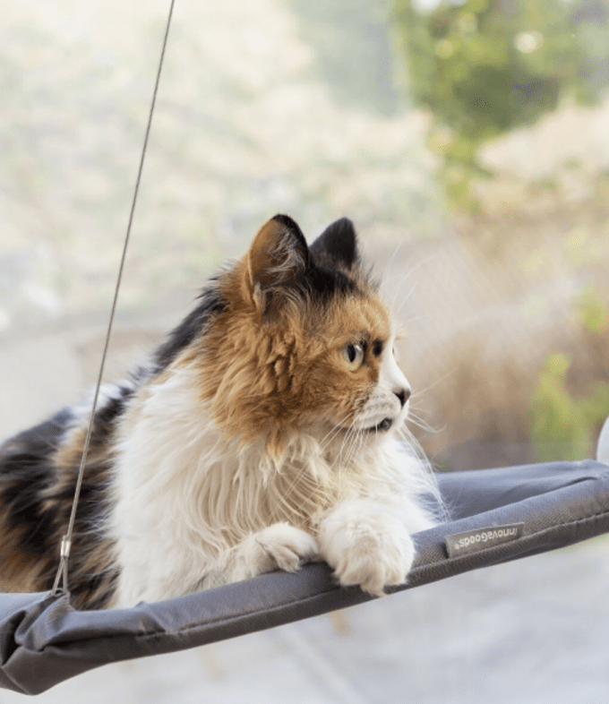 Hamaca colgante para gatos - Disane Pet Care