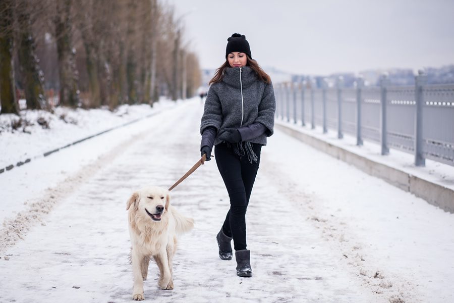 Pasear a tu perro en invierno