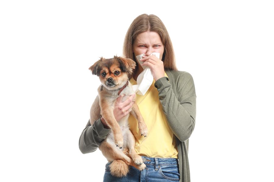 Realizable Hasta en términos de Tienes alergia a tu perro? ¡Toma nota de estos consejos!