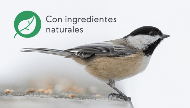Benefícios do repelente de insectos para as aves