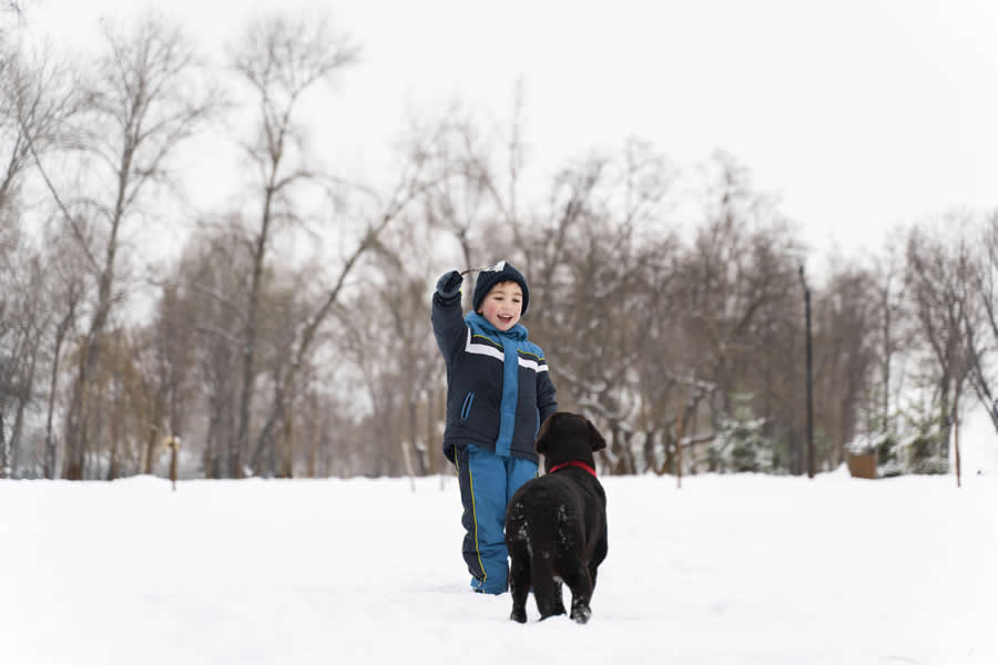 Adapta los cuidados de tu mascota al invierno