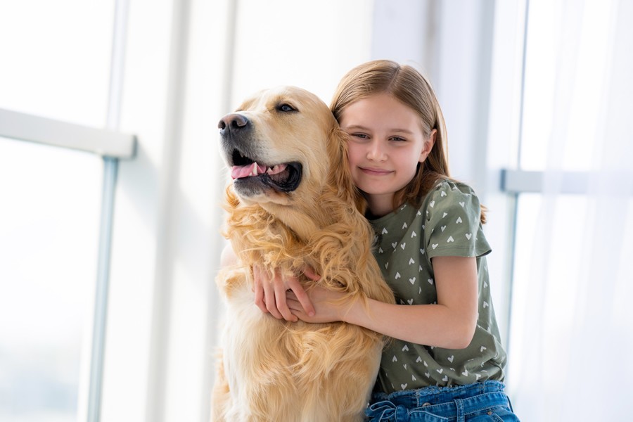 5 razas de perros ideales para familias con niños